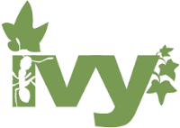 Logga för Apache Ivy